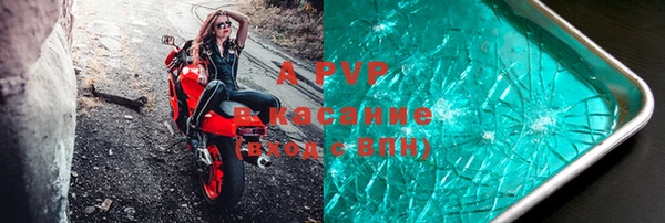 стаф Беломорск